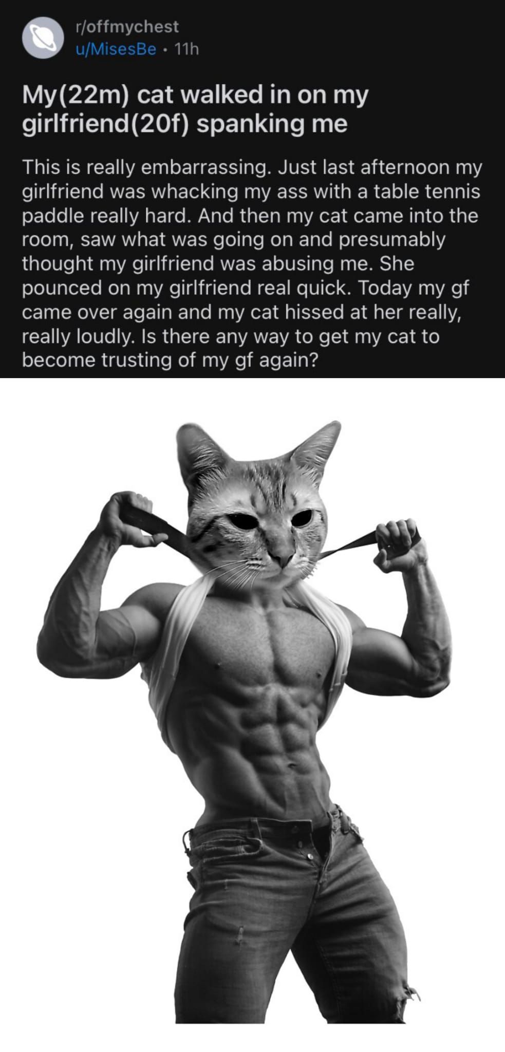 Giga cat