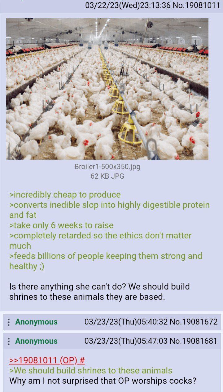 chicken