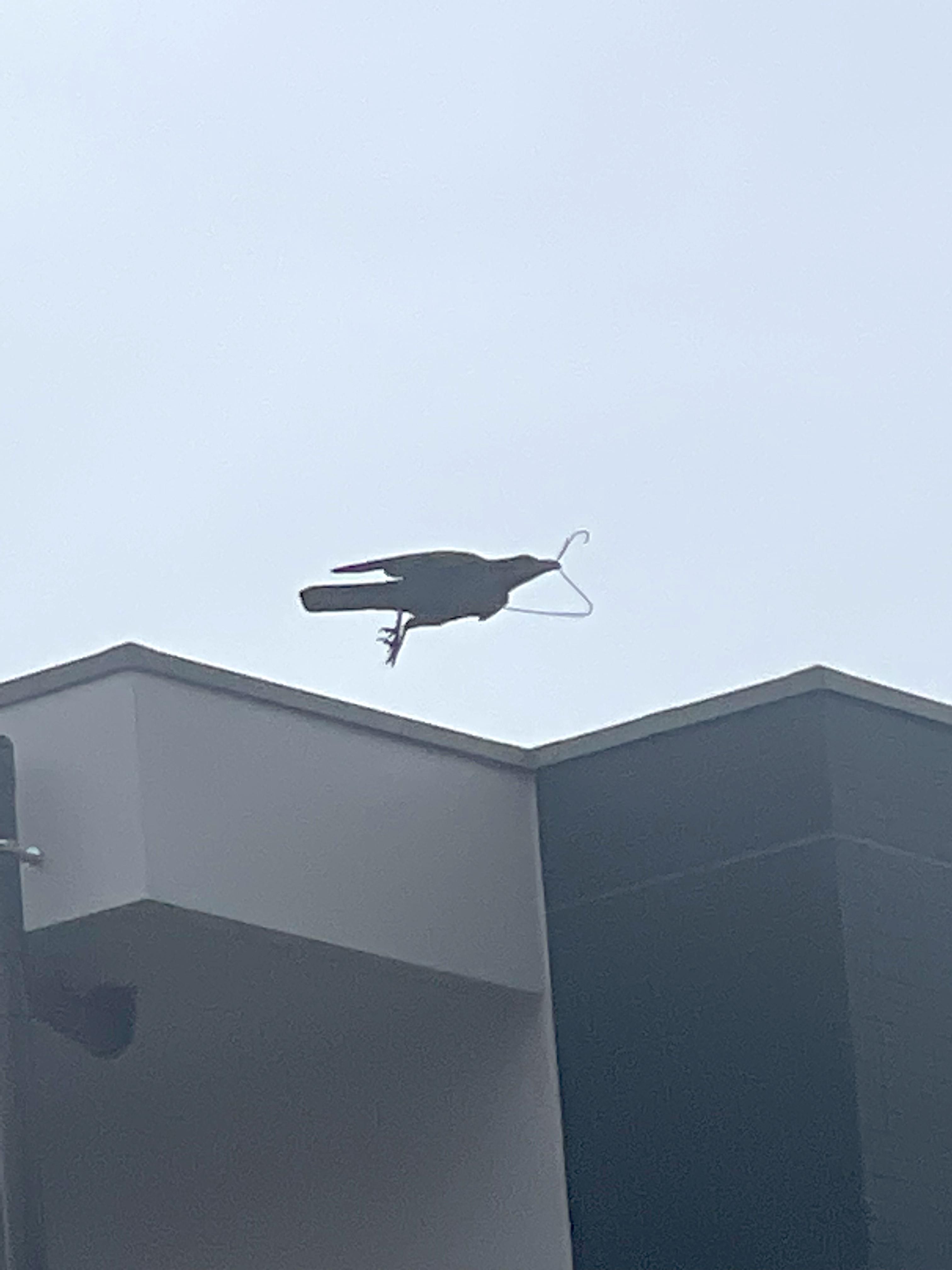 Ever wondered what the opposite of a stork was?