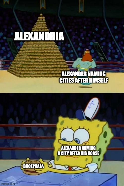 Alexander named over 20 cities after himself but one after his horse Bucephalus