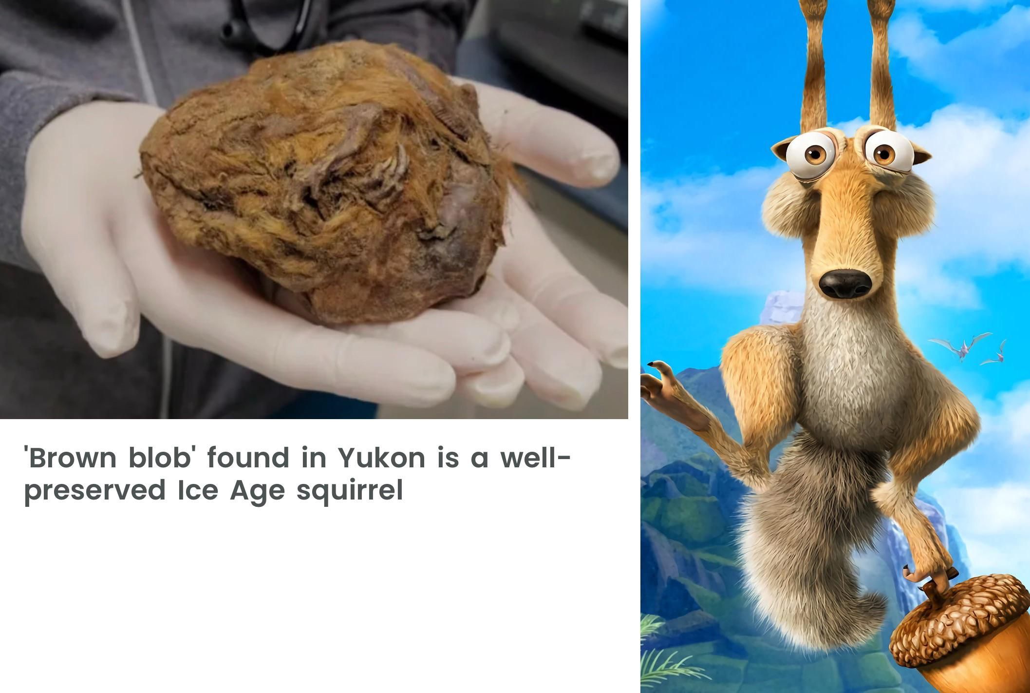 They’ve found Scrat