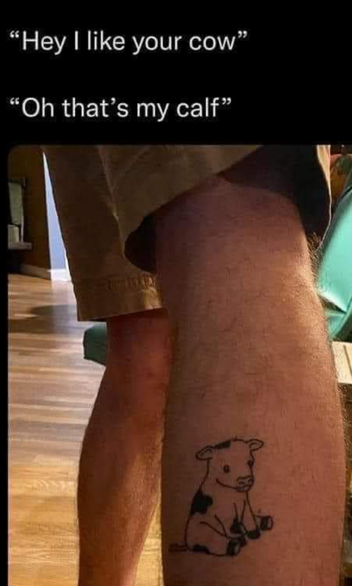 Calf for a laugh