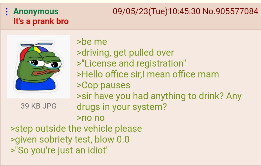 Anon gets pulled over