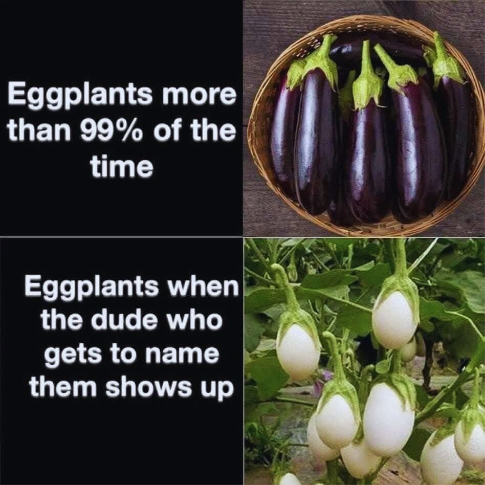 Shoulda been named purple dickplants smh