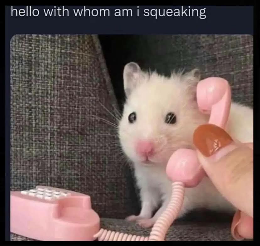 it's me, dog