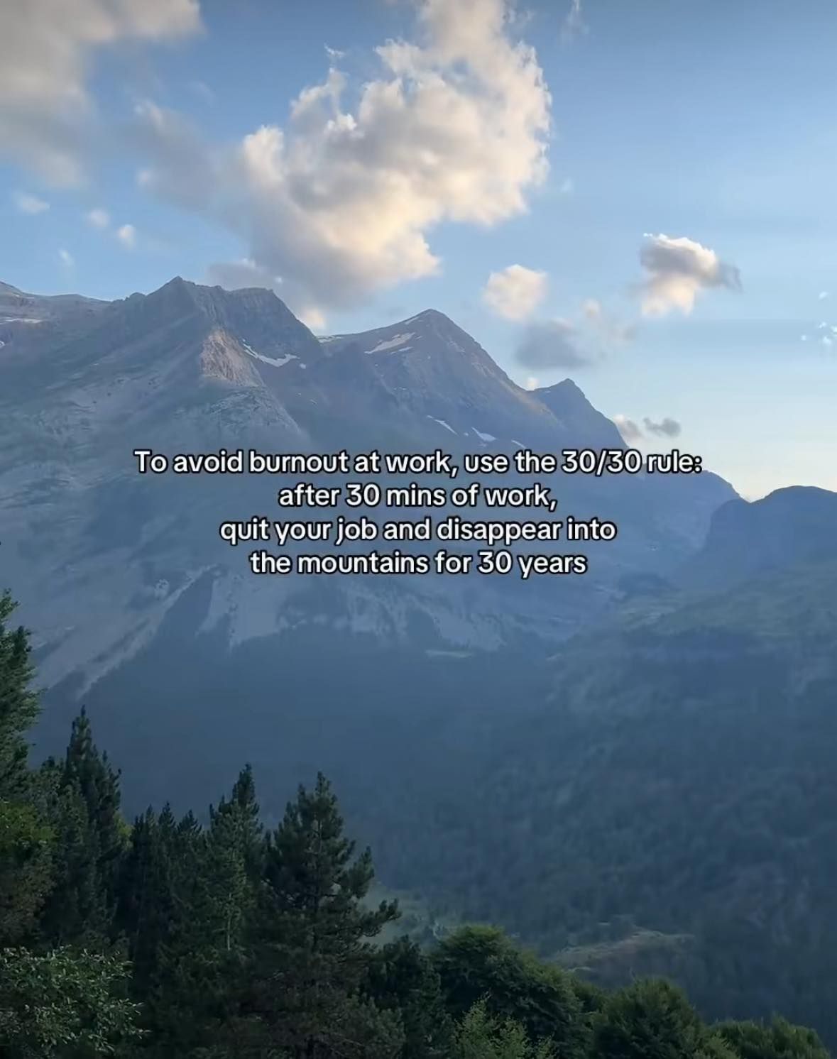 don't let your dreams be memes