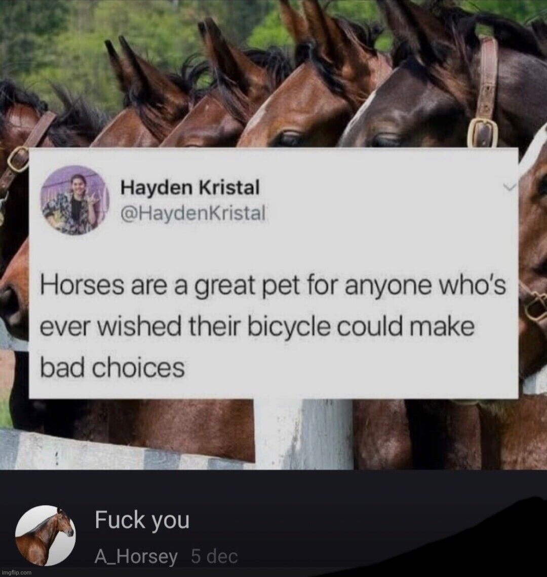 It's amazing (give it a lick)