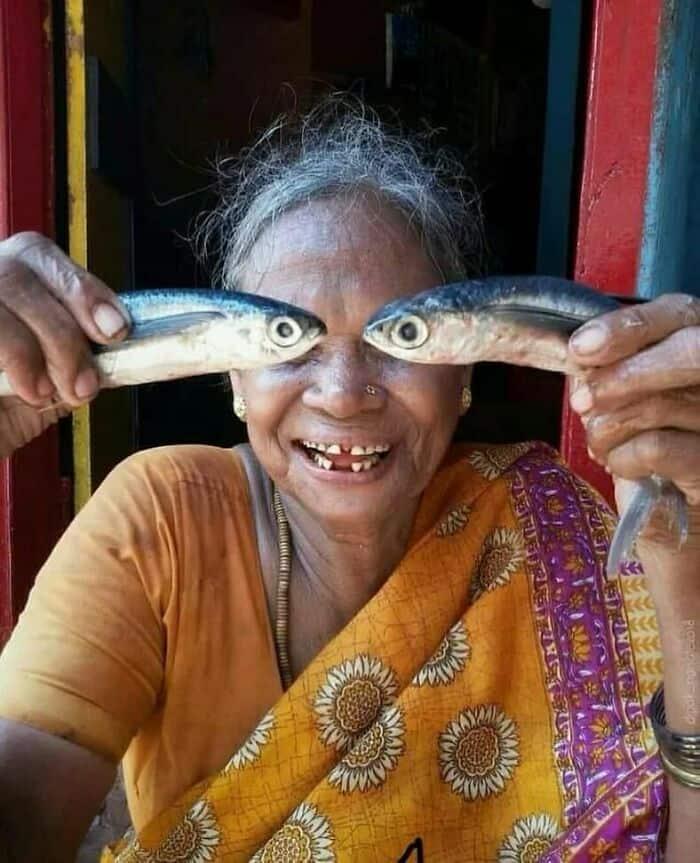 Funny dadi fish memes😂🤣