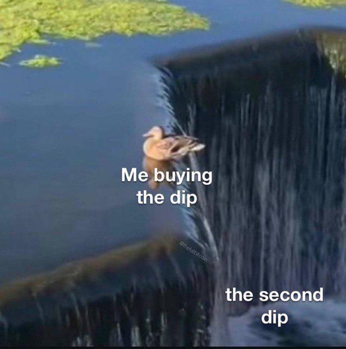 Buying the dip be like