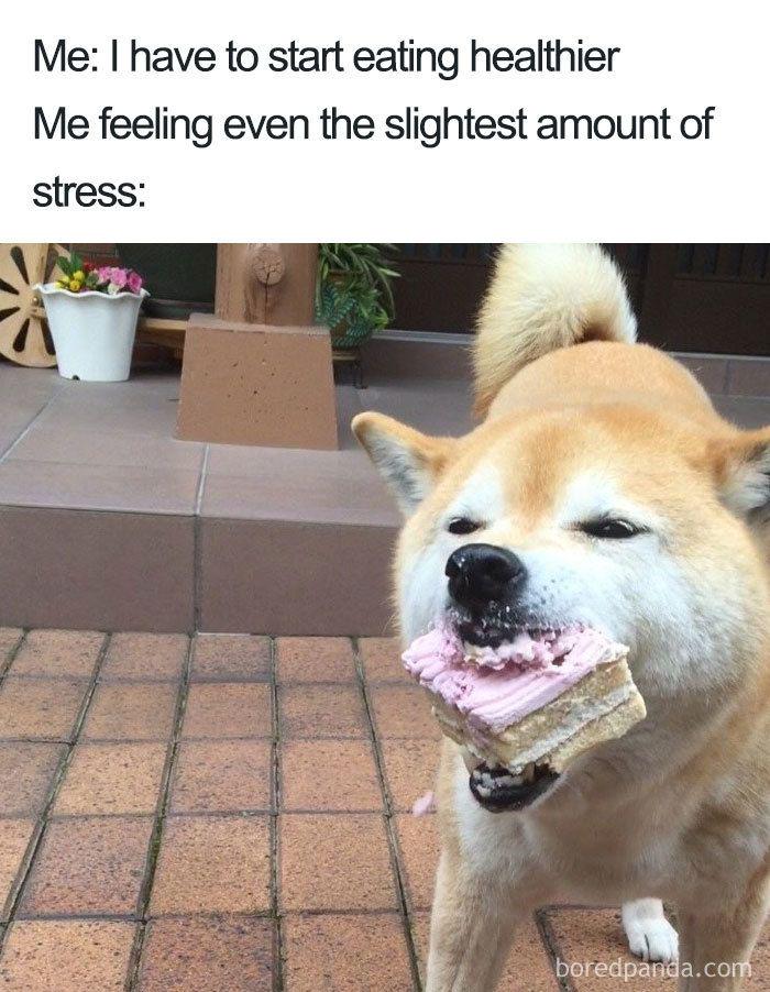 Invest in eating during stress 🍰