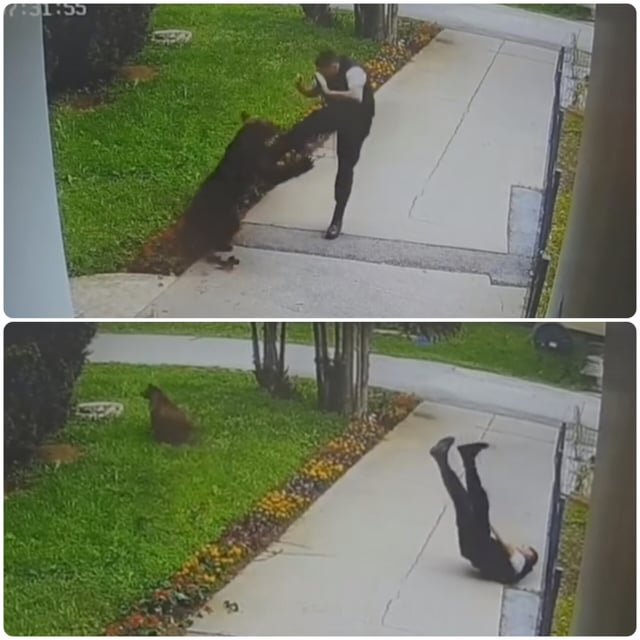 Invest in guy from Bosnia and Herzegovina fighting with bear 🇧🇦