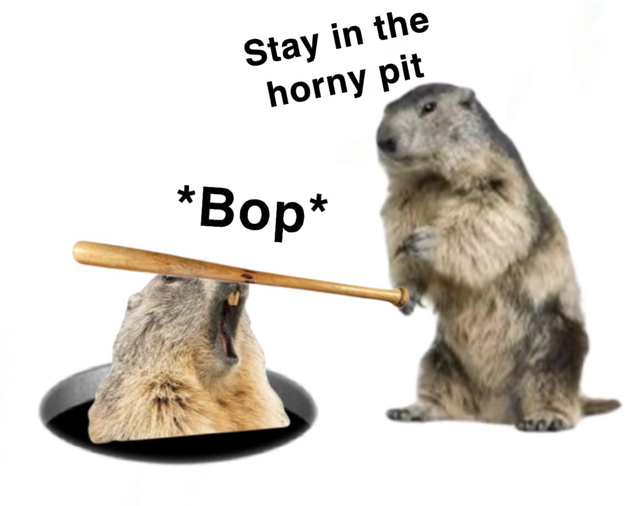 Invest in the horny gopher