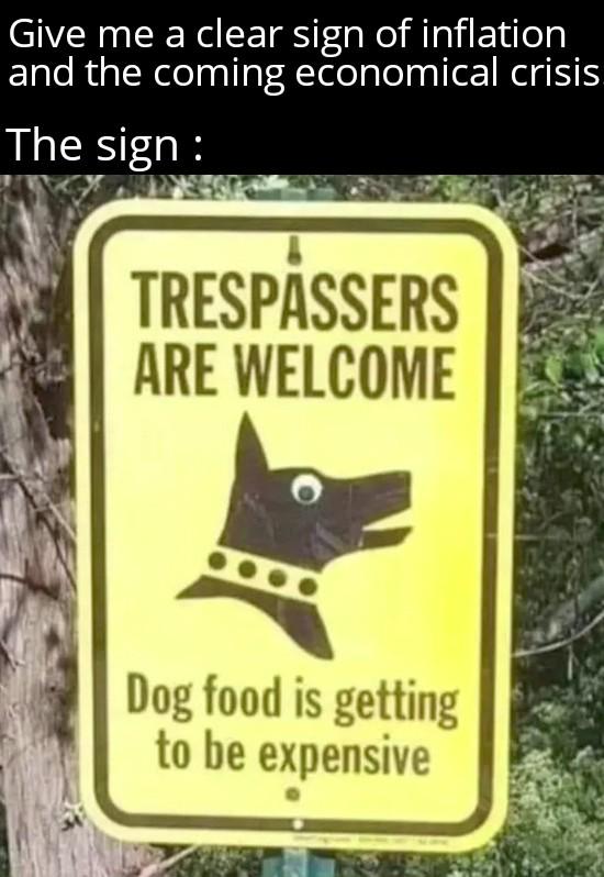 Groceries are expensive... The dog is my most valuable investment