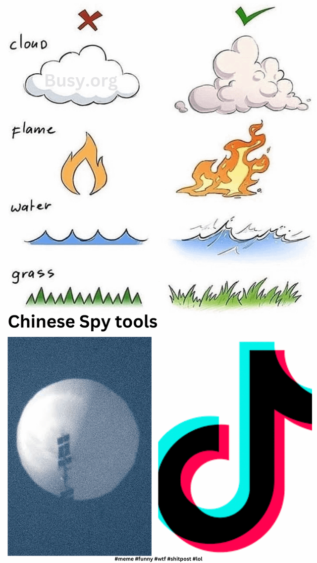 Invest in Wrong/Right Meme