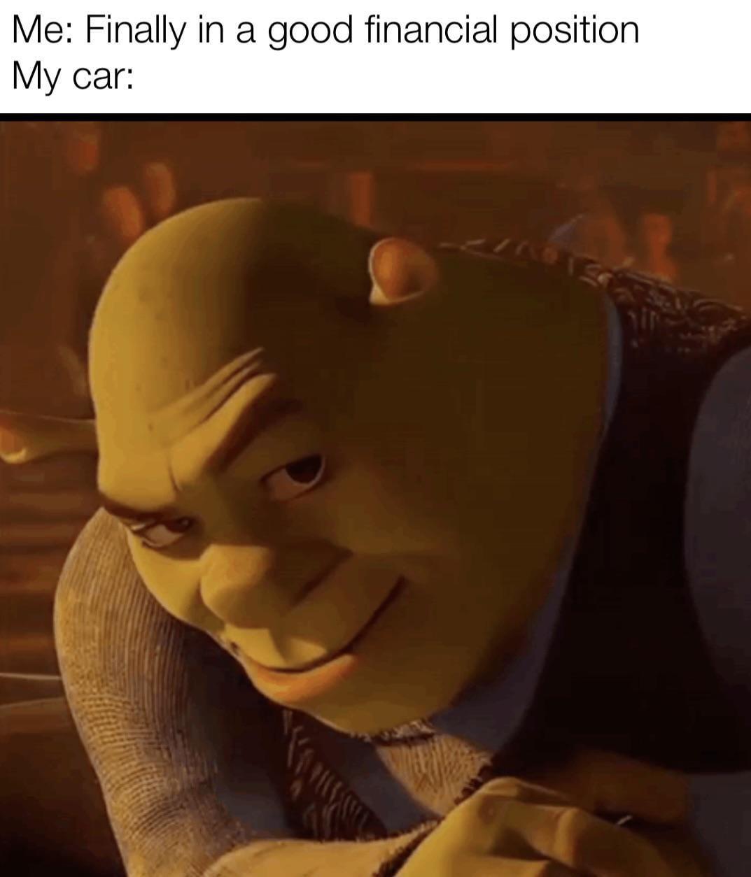 Invest in car they say