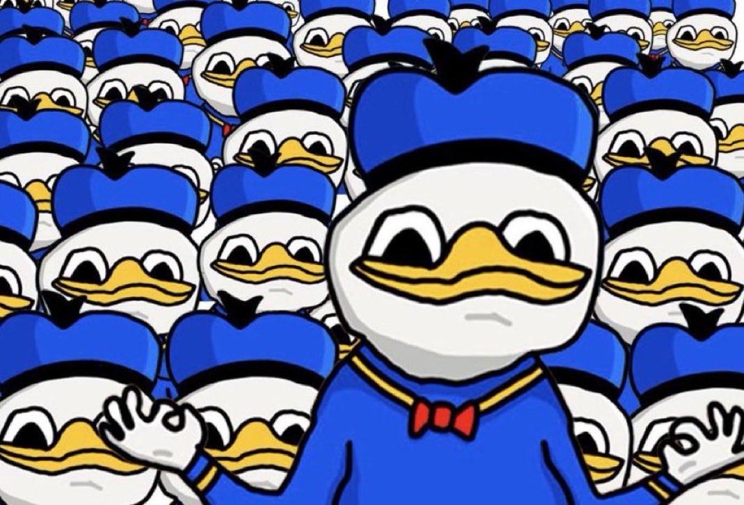 Dolan Duck $Dolan