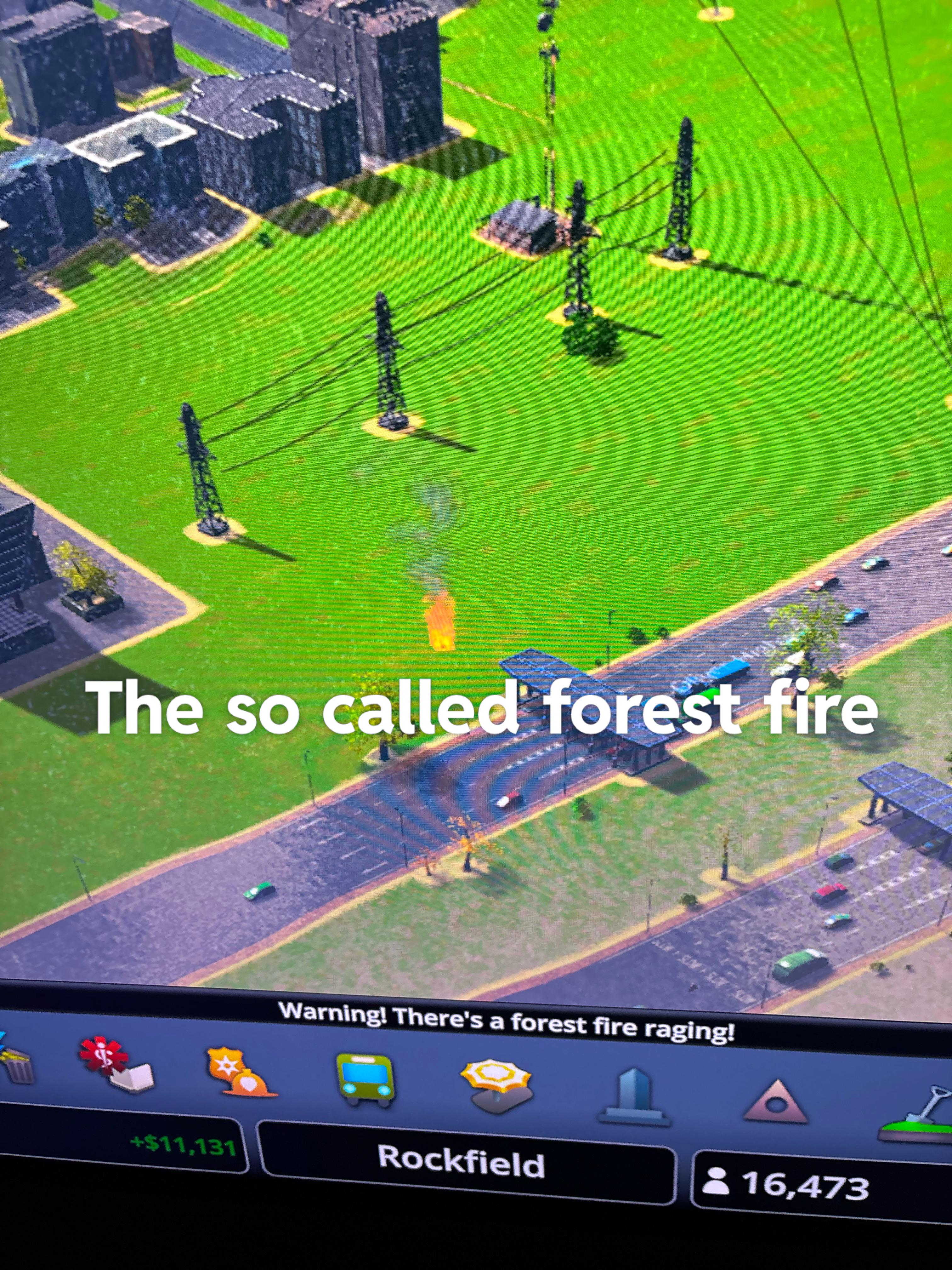 Forest fire