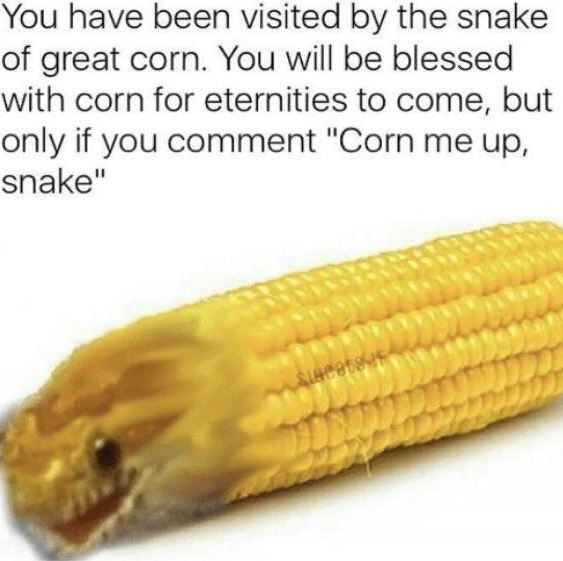 Short term investments in corn memes for the rest of today (first of July)