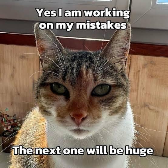 Invest in this diabolical cat