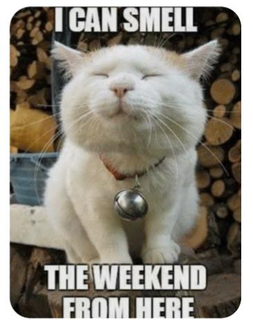 Weekend plan's