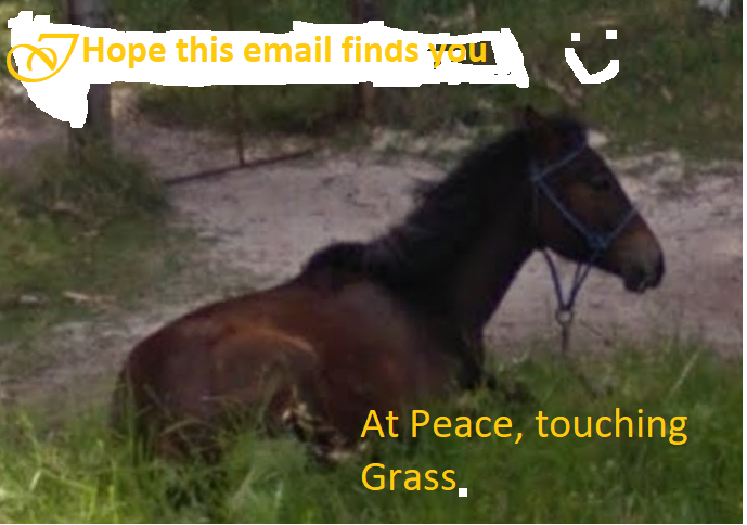 Invest In AT PEACE HORSE. WHILE SUPPLIES LAST.