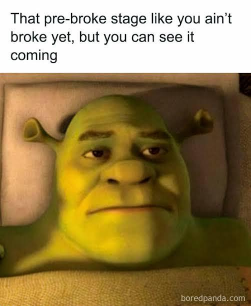 Invest in this brokie