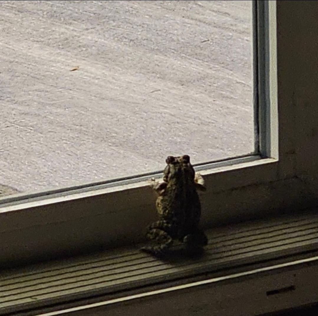Invest now for long term profits! 🐸