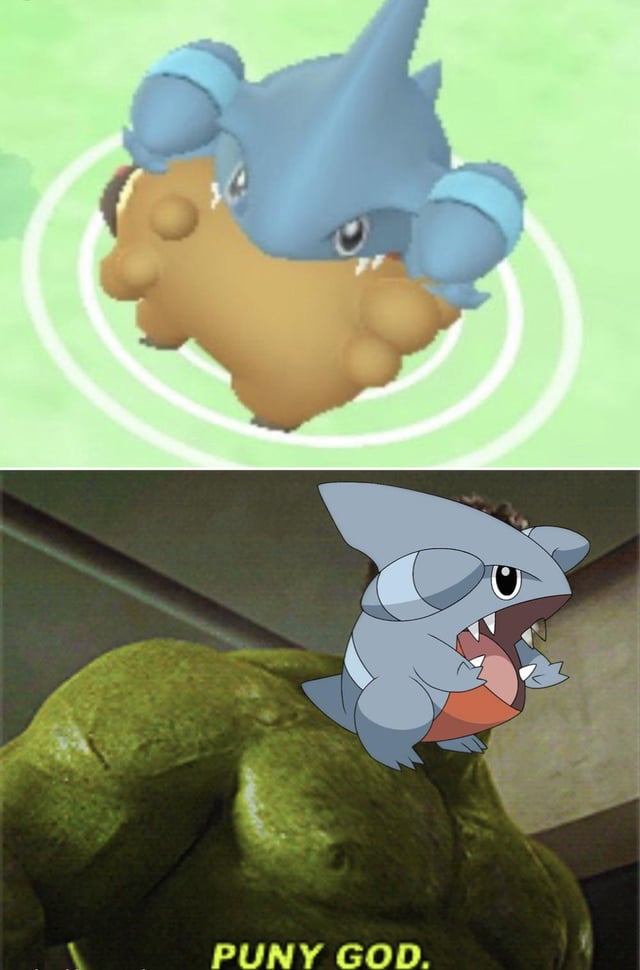 Invest in Gible today to challenge god