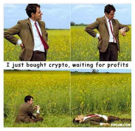 I bought a crypto, waiting for the profits