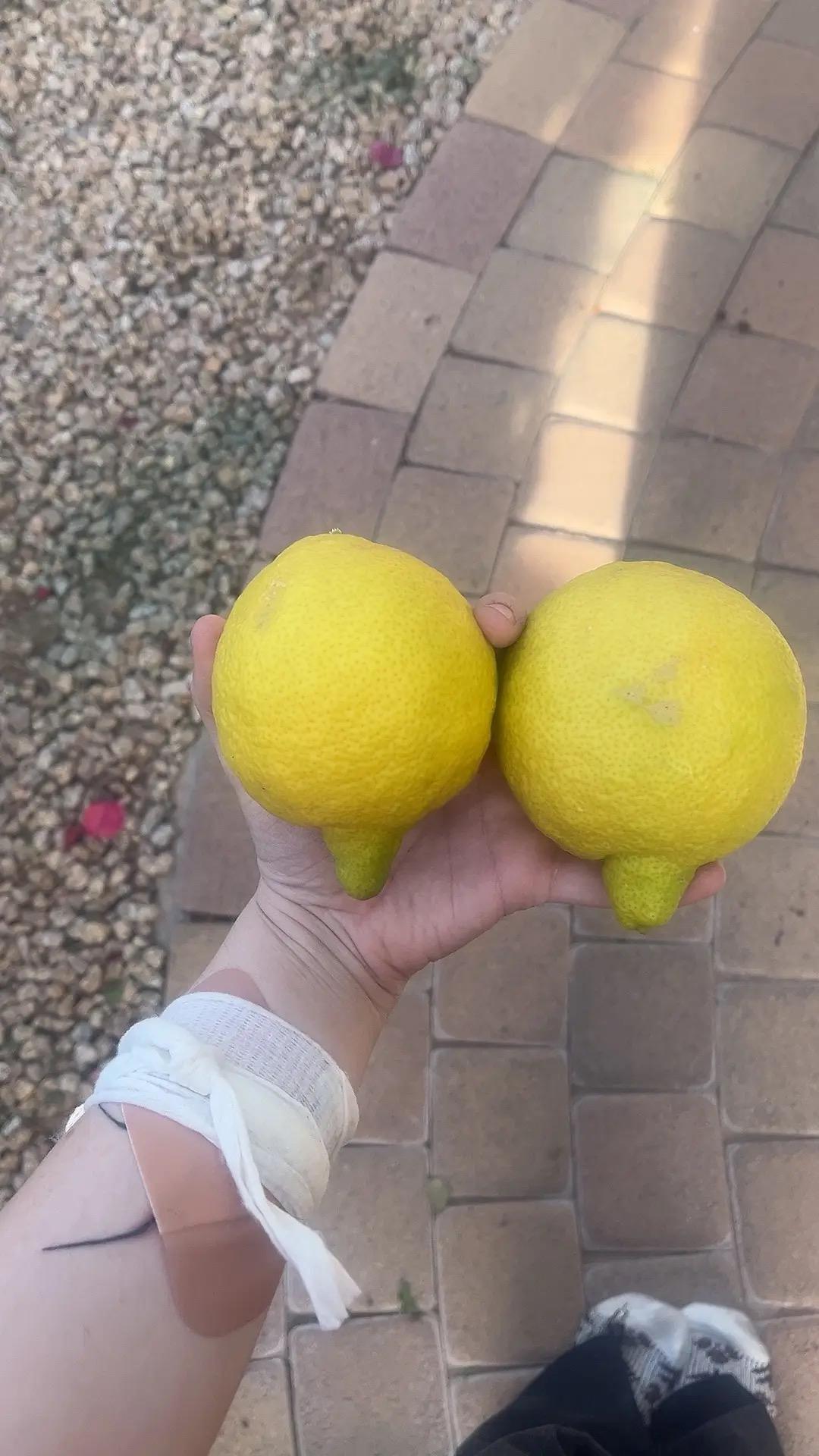 help me find this meme please!