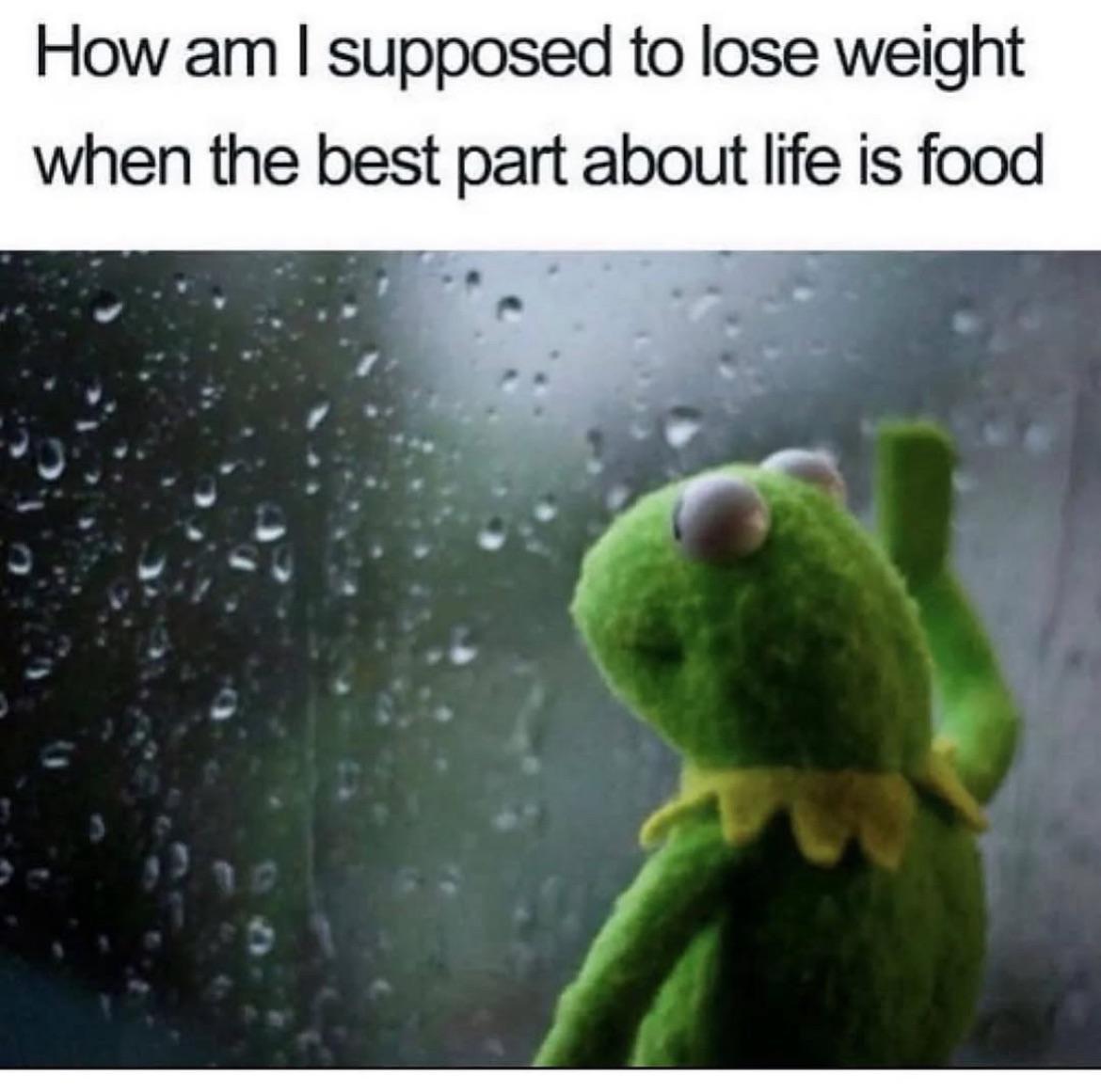 Invest in food