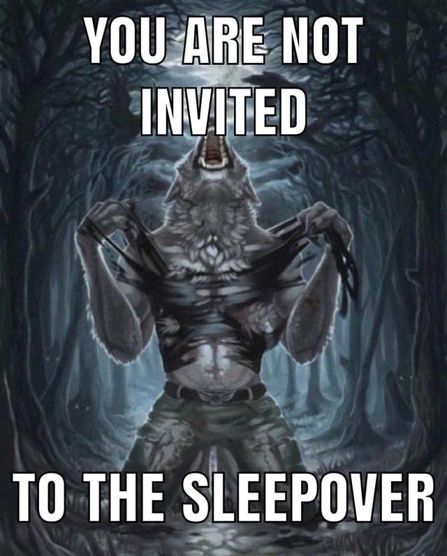 Invest in wolf having a fit