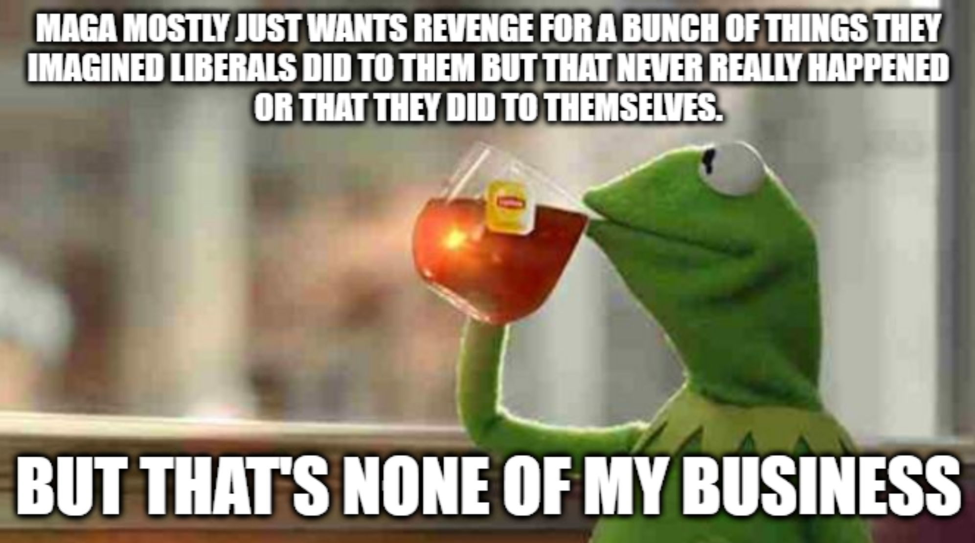 Imagination + Russian propaganda machine - Critical thinking skills = The liberal conspiracy