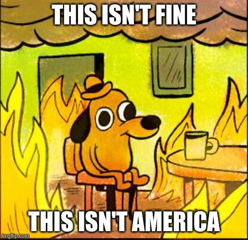 America used to be a democracy with checks and balances