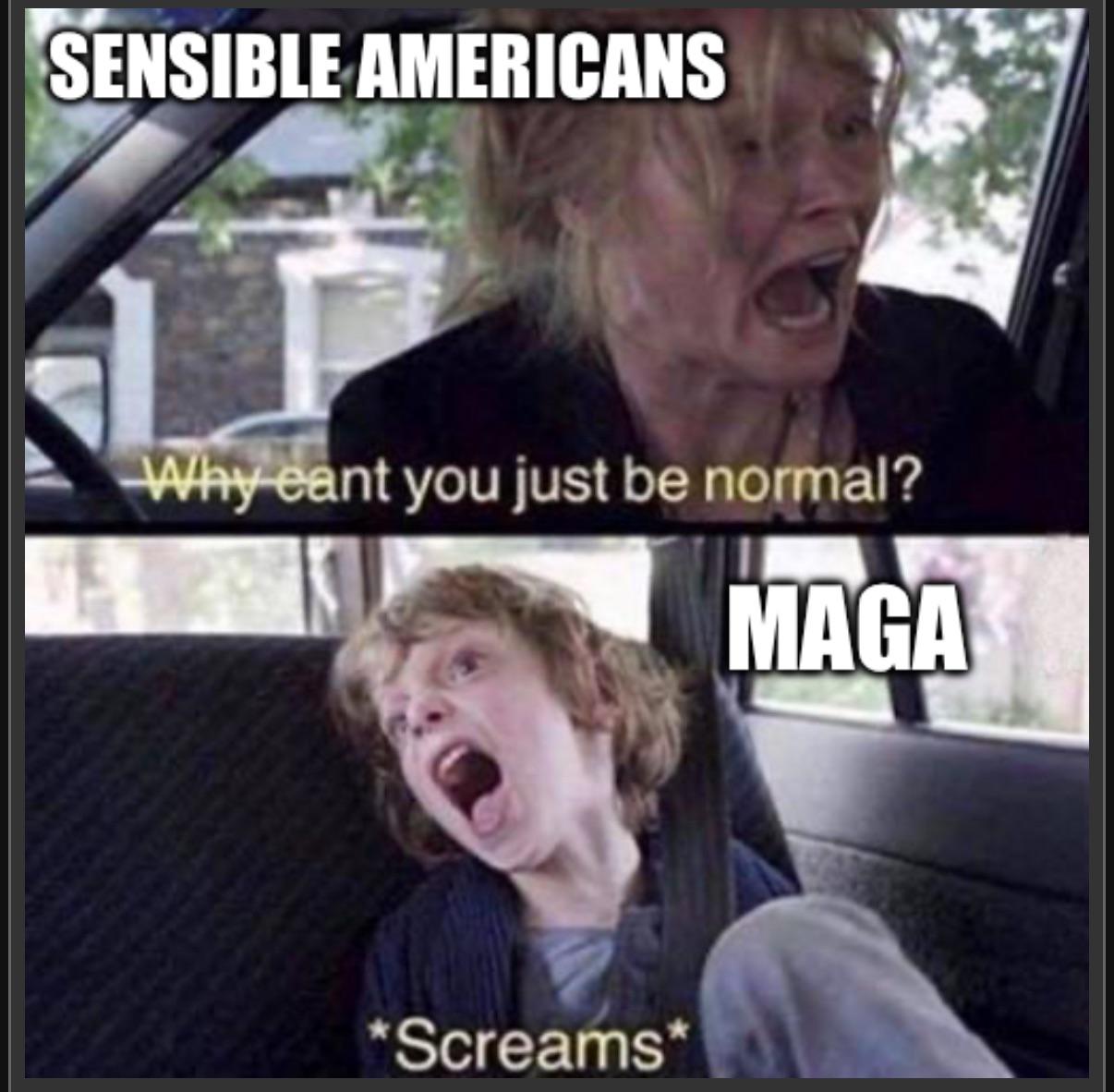 American Politics in One Picture