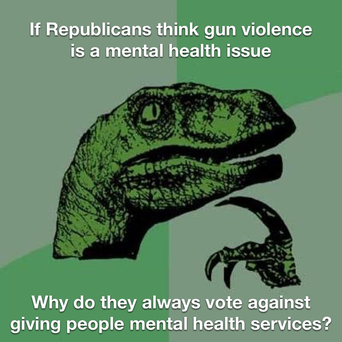 Every other developed country on earth has mental health issues, only one has a mass shooting issue