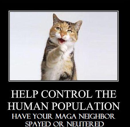 Please, for the love of gawd and all that is good, listen to the kittie!