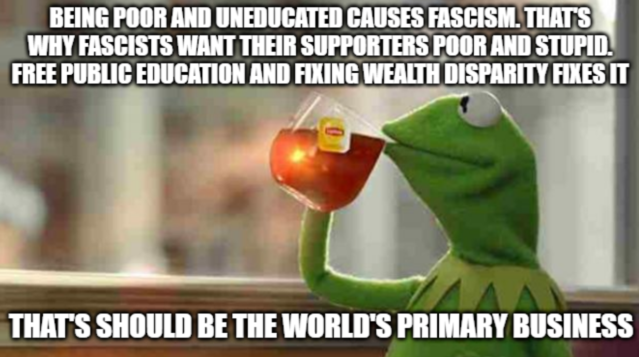 The global emphasis on the consolidation of wealth and power is the cause for the global rise of fascism. Just like the last time...