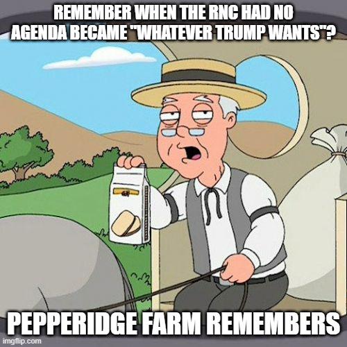 Trumps lying about Project 2025, just like he lied about abortion, all the women he raped and how he's a successful business person.