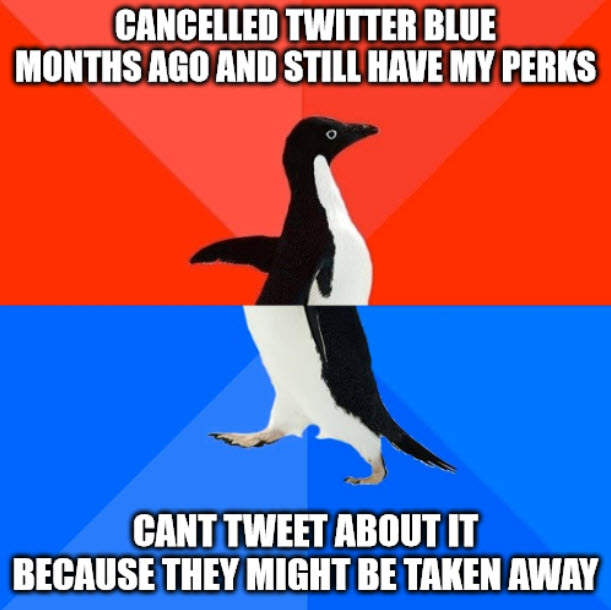 Bought Twitter Blue in the first month to see what it was about.