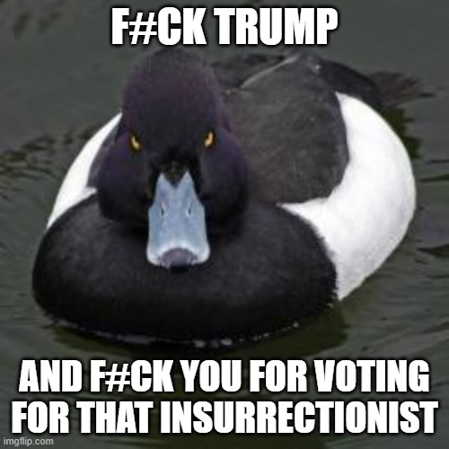 They voted for the destruction of American democracy