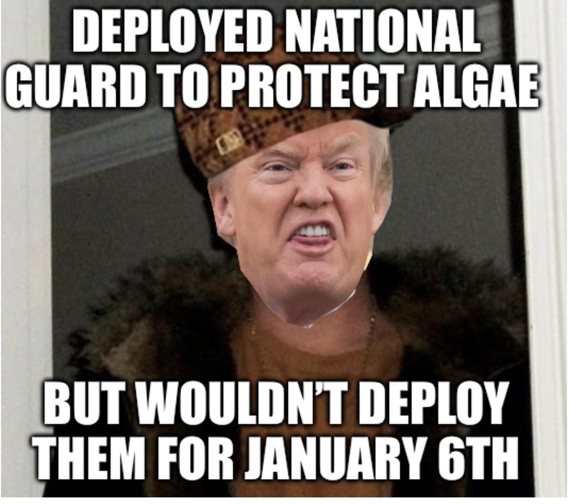 We live in the dumbest timeline