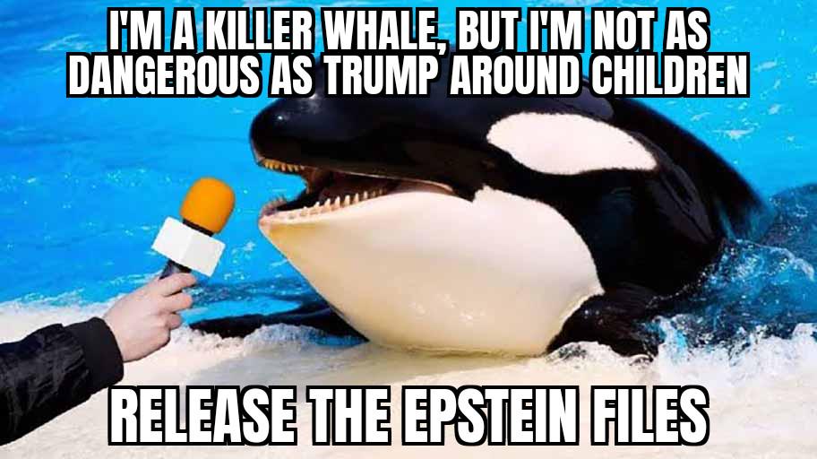 Will somebody please take out the garbage already. It stinks in here.