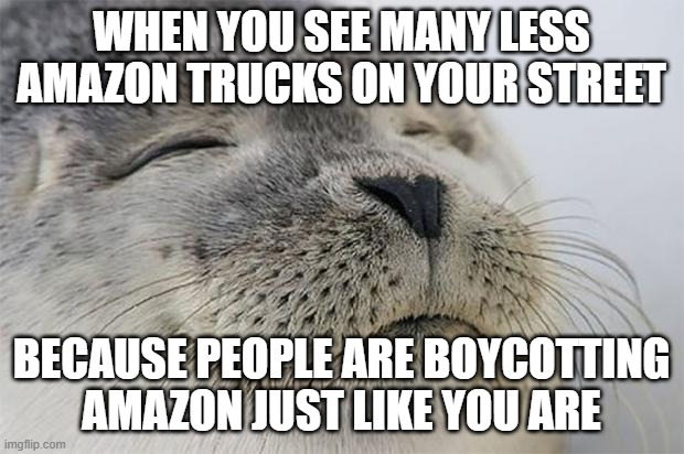 Boycotting Amazon is one of my favorite pastimes these days