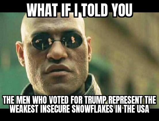Weak INSECURE men vote for fake masculinity. Trump wears spray tan and The Vance wears eye liner. GOP=SHAME. How's your 401k?
