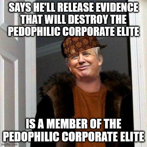 Fox in the hen house