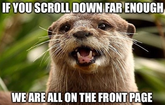 Optimistic otter