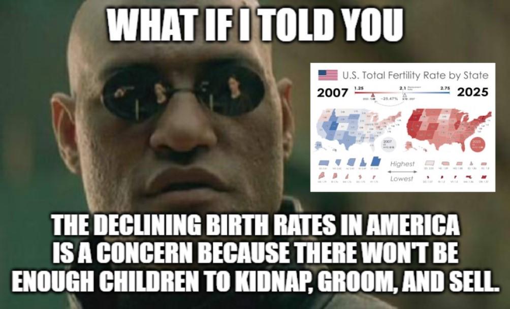 The Birth Rate metric coincides with Fertility Rate when your shithole country is governed by rapist felons that have been accused multiple times of sexually molesting children with jeffrey epstein.