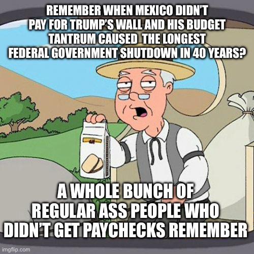 Trump is trying shut down the government again already?