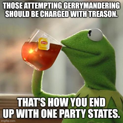 Protecting Democracy